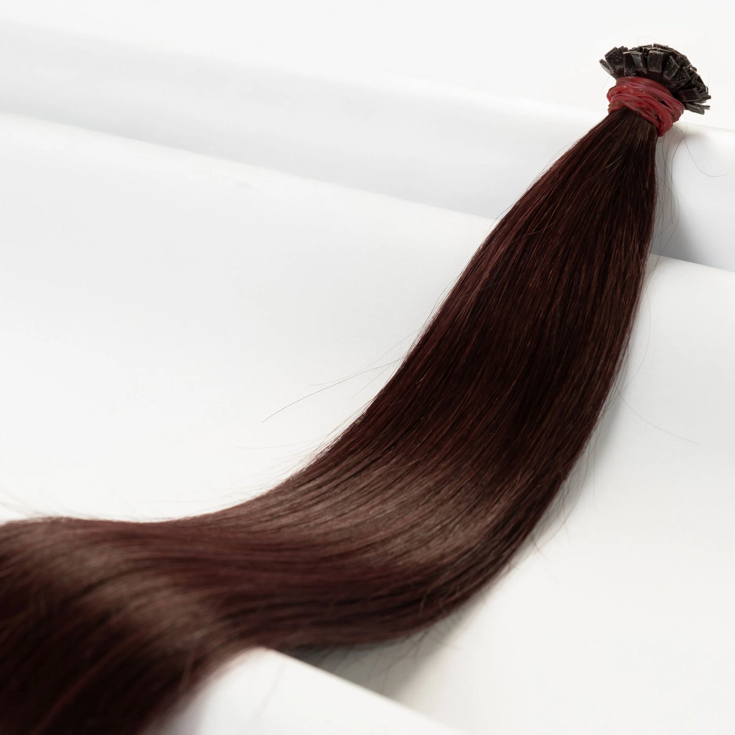 Bondings-Extensions